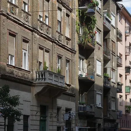 Vivid Rozsa Budapešť